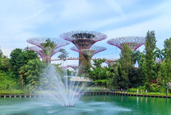Erholungsstätte: Singapore Botanic Garden