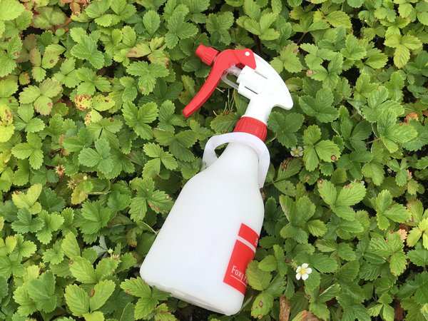 Pflanzen Sprühflasche Foxy Plus