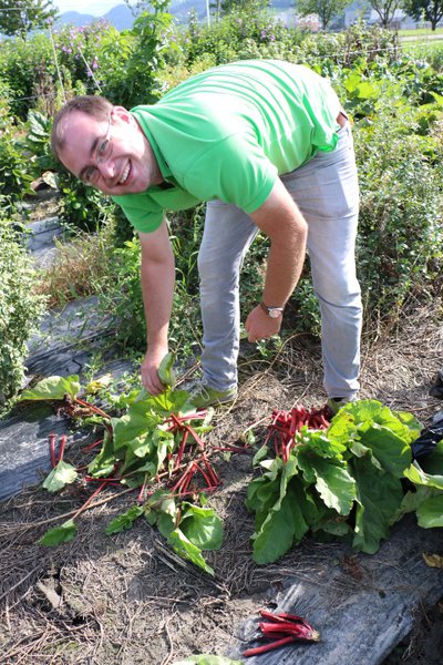 Rhabarberzchtung, Schweiz, Lubera, Frederik Vollert