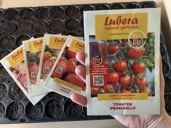 Tomaten säen, Lubera Samenkorn, Tomate Primabella