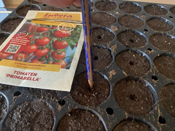 Tomaten säen, Lubera Samenkorn, Tomate Primabella