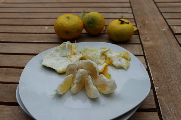 aufgeschnittene Yuzu