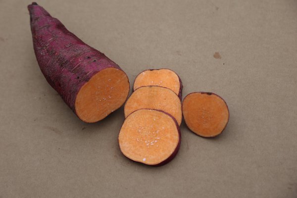 https://www.lubera.com/de/shop/suesskartoffel-sugaroot-orange_produkt-2283217.html