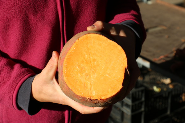 Süsskartoffeln gesund Evangeline Lubera