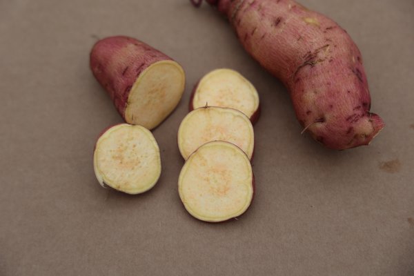 Ssskartoffeln, Sugaroot-Ssskartoffel, Sugaroots, ssskartoffeln anbauen