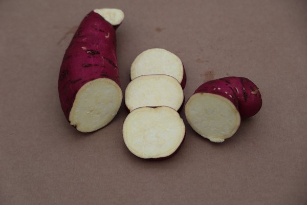 Ssskartoffeln, Sugaroot-Ssskartoffel, Sugaroots, White, ssskartoffeln anbauen