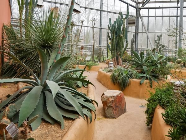 Mediterraner in Palmen Garten der - Hortus Botanicus - Mein Amsterdam