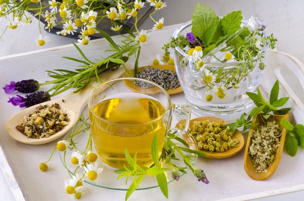 Kräutertee - gesund und lecker
