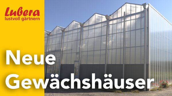 Thumbnail, Lubera Video, neue GewÃ¤chshÃ¤user Buchs, Mai 2025 