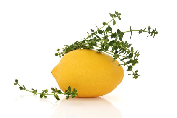 Zitronen sollten Bio-Qualität haben