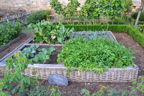 GemÃ¼segarten pixabay