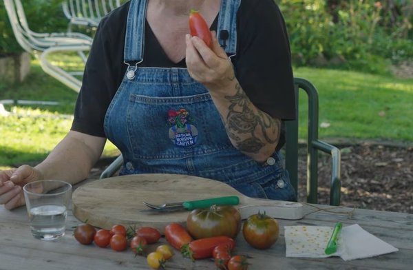 Tomatensamen gewinnen, Gartenvideo