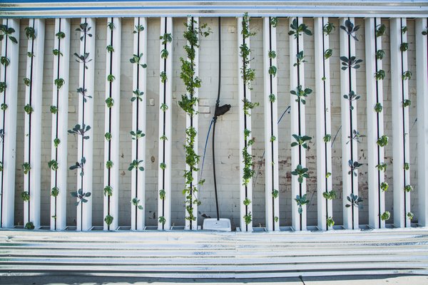 Vertical Farming