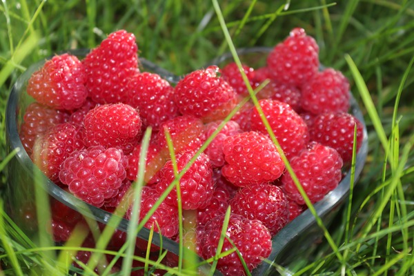 Himbeeren Herz