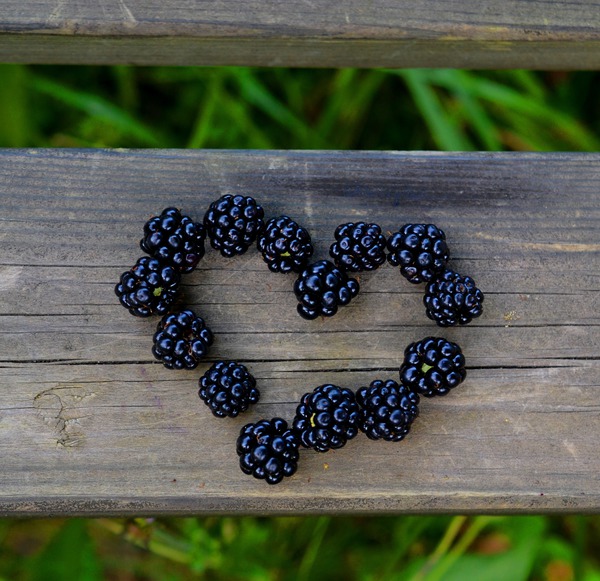 Brombeeren Herz