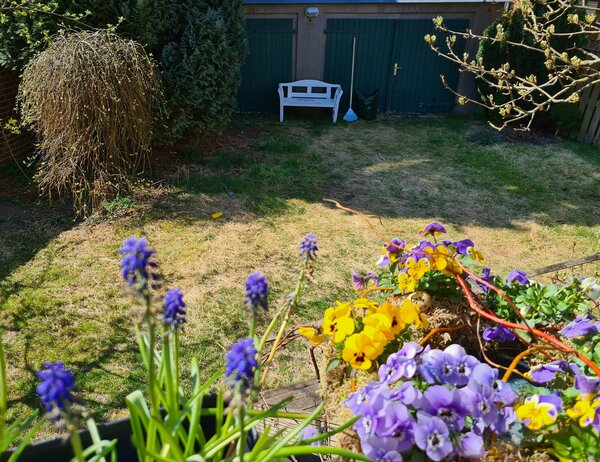 Mein erster Garten, der Garten im Mrz, Hausgarten, Garten, Jana Laura Lange