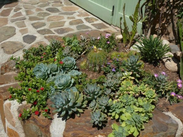 Gartengestaltung im mediterranen Stil