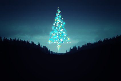 Weihnachtsbaum Pflege 