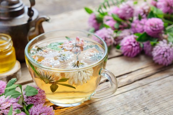 Tee aus Kleeblüten - wohlschmeckend und heilsam