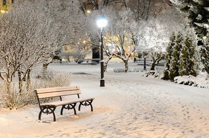 snow on trees in Riga park by night