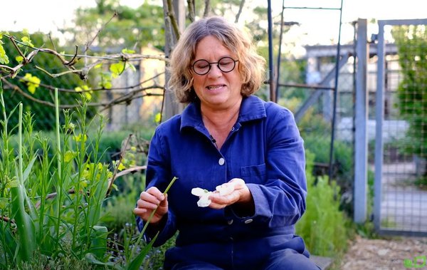 YouTube Video Anja und Andreas verblühte Tulpen abschneiden