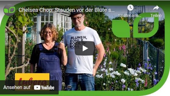 YouTube Video Anja und Andreas Chelsea Chop