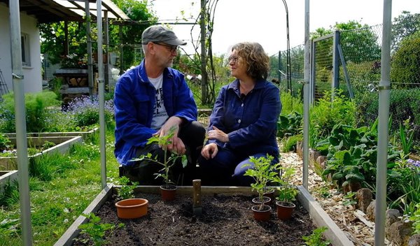 YouTube Video Anja und Andreas Tomaten pflanzen