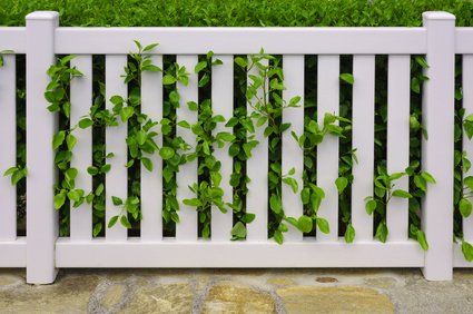 Zaun aus weiem PVC mit Hecke