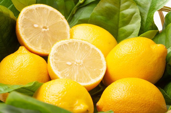 Zitronen lagern - bleiben frisch so Zitrusfrüchte länger die