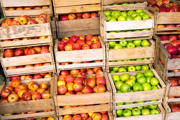 Apfelsorten im Fachhandel