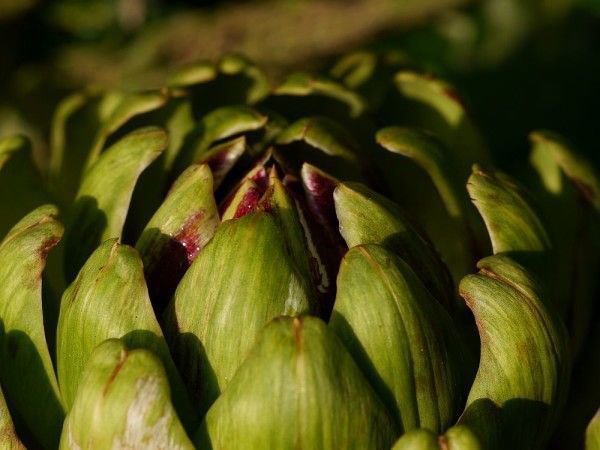 Garten italienisch gestalten