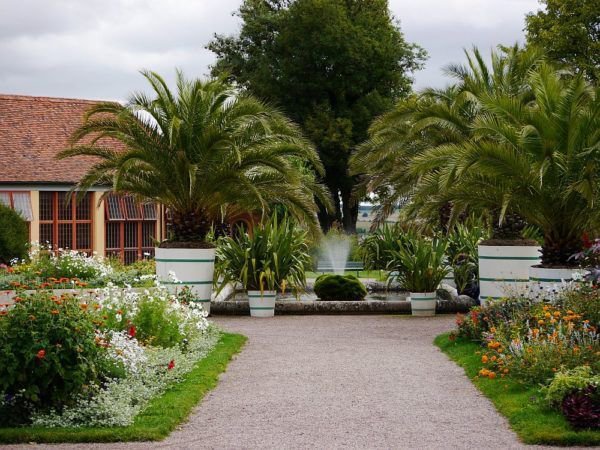 Mediterrane Gärten in Deutschland