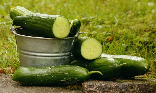 Gurken gesund pixabay