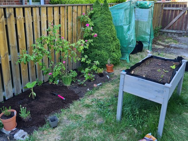 Der Garten im Mai, Jana Laura Lange, Auspflanzen ins Beet