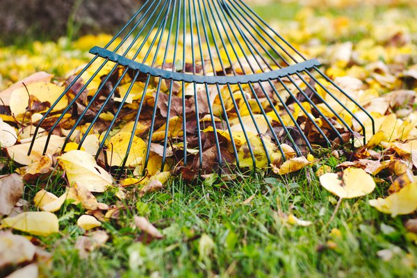 Garten im November.