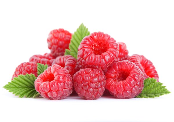 Himbeeren: Netz als Rankhilfe, Himbeeren rankhilfe