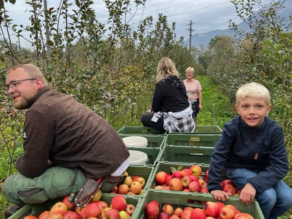 Apfelernte 2022 Versuchsfeld Baumschule Buchs Züchtung Apfelsaft Most Malus