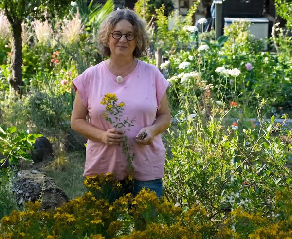 Gartenvideo, johanniskrautöl