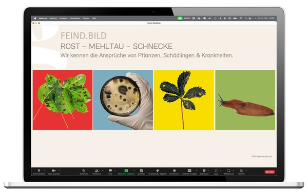 Gärtner Graf Webinar, Staudenwebinar, Beat Graf