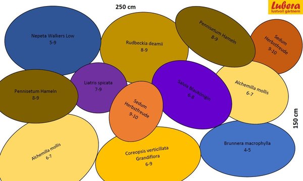 Staudenbeet Pflanzplan Aller Anfang ist leicht, Lubera