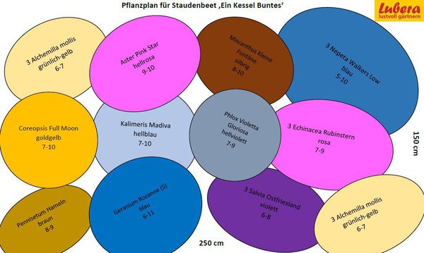 Staudenbeet Pflanzplan Ein Kessel Buntes, Lubera