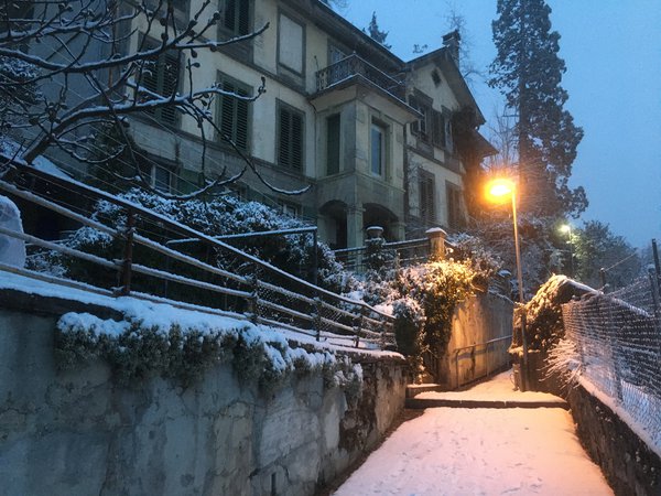 Nachbars Garten Lubera