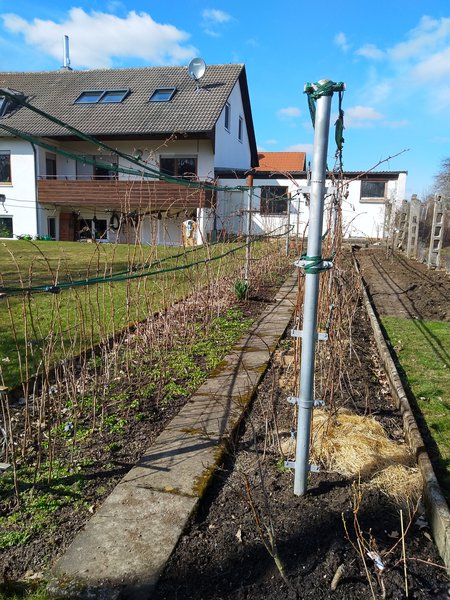 Nachbars Garten Lubera