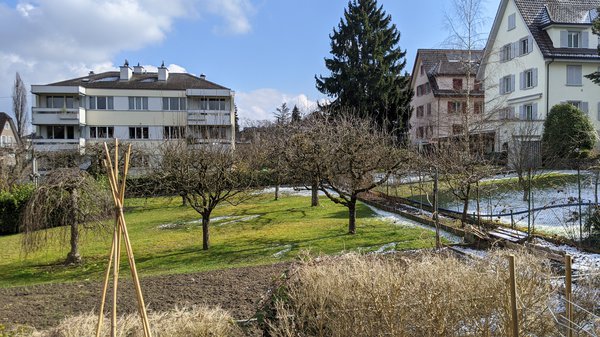 Nachbars Garten Lubera