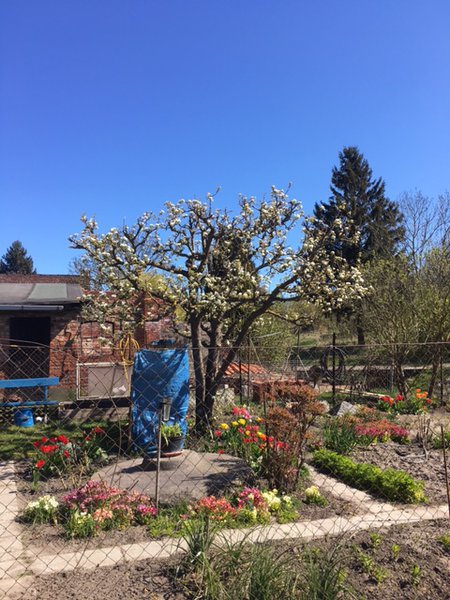 Nachbars Garten Lubera