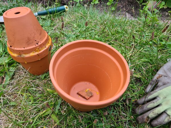 Mein erster Garten, Der Garten im Juni, Ollas