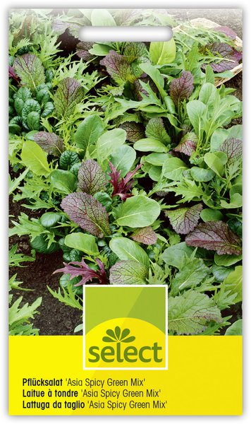 Gemüse fürs Hochbeet Pflücksalat Asia Spicy Green Mix Lubera Samen