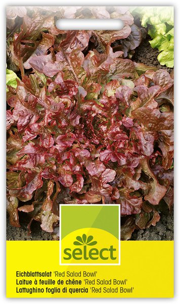 Gemüse fürs Hochbeet Eichblattsalat Red Salad Bowl Samen Lubera