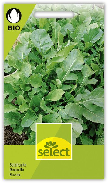 Gemüse fürs Hochbeet Rucola Salatrauke Bio Lubera Samen