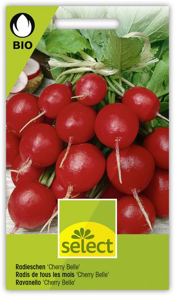 Gemüse fürs Hochbeet Radieschen Cherry Belle Lubera Samen